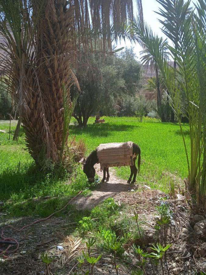 Dar Jamila Hotel Achbarou Exterior foto
